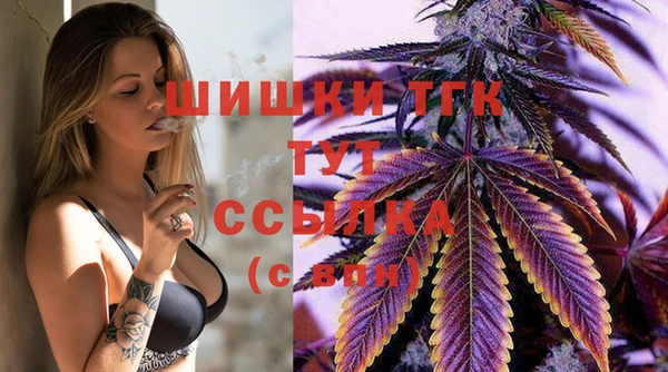 тгк Абаза