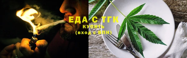 тгк Абаза