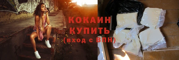 тгк Абаза