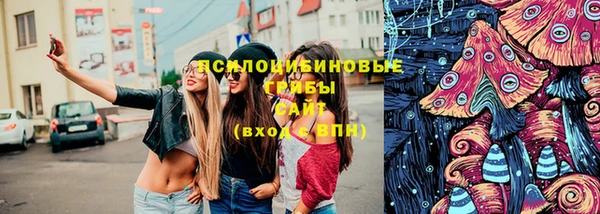 тгк Абаза