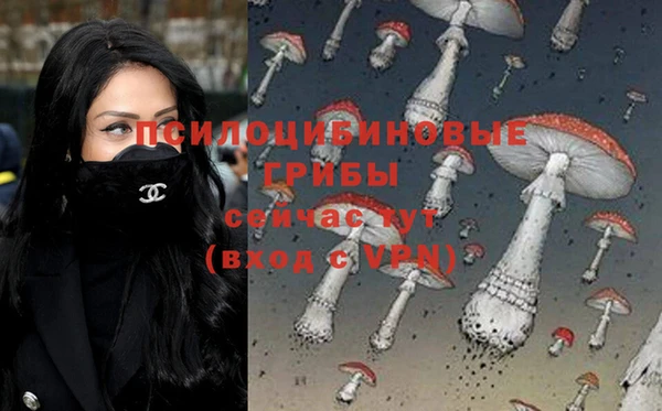 гидропоника Абдулино