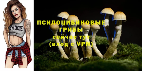 таблы Абинск