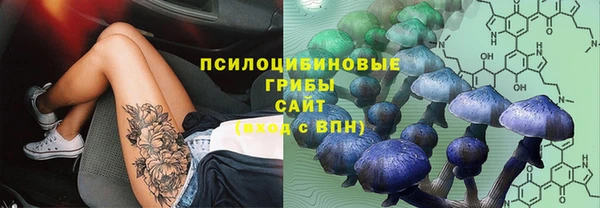 гидропоника Абдулино