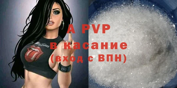 тгк Абаза