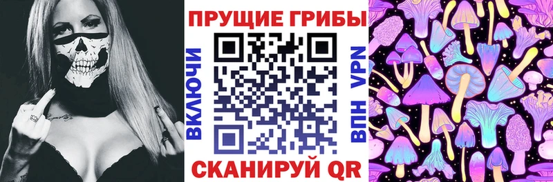 Псилоцибиновые грибы Psilocybine cubensis где купить Шимановск